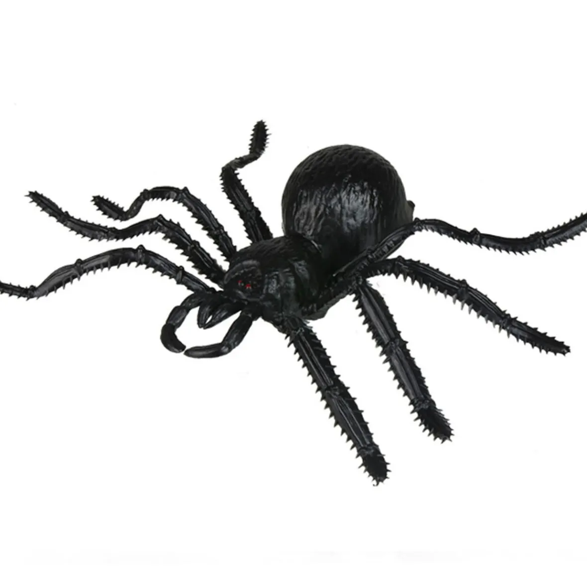 Araignée noire Halloween x2-Gifi Online