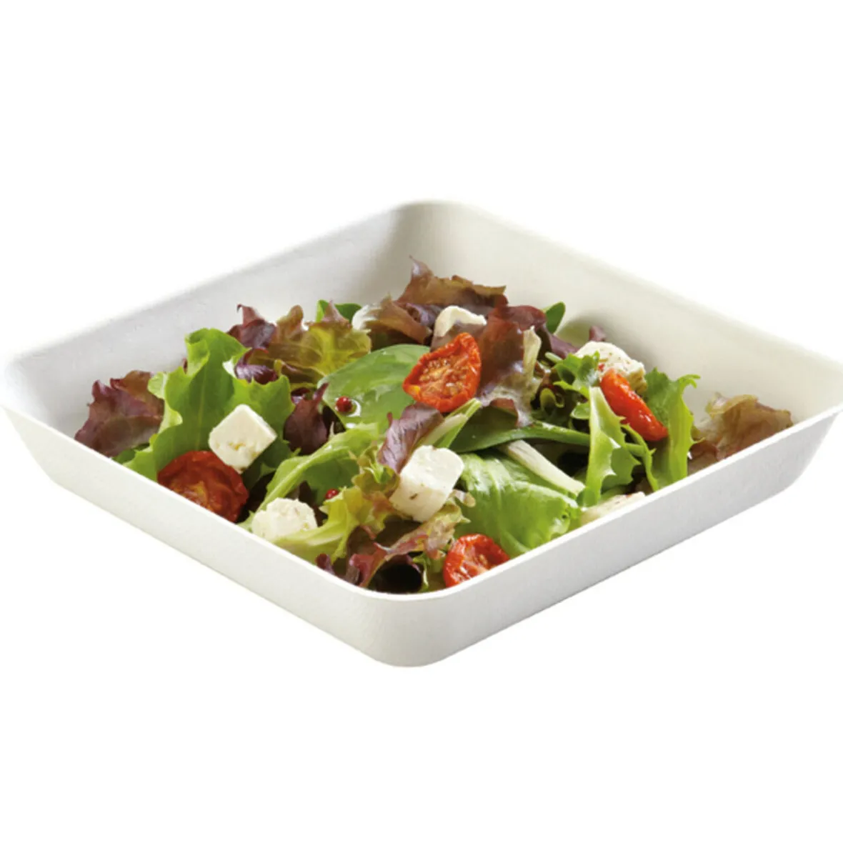 Assiette avec couvercle jetable x4-Gifi Online