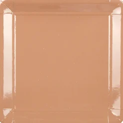 Assiette carton marron x8-Gifi