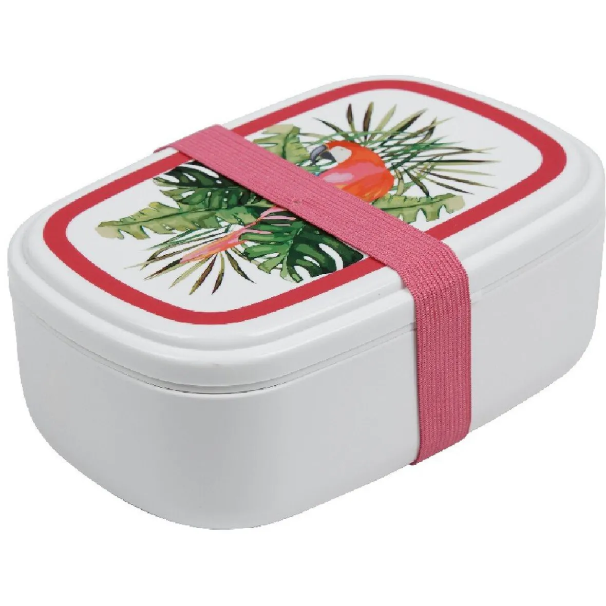 Bento lunch box plastique perroquet exotique-Gifi Online