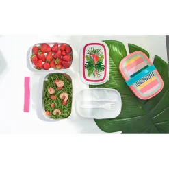 Bento lunch box plastique bayadère-Gifi Online