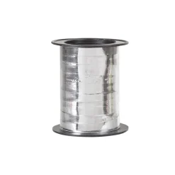 Bolduc argenté 10 m-Gifi Outlet