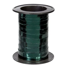 Bolduc brillant vert foncé 10 m-Gifi Clearance