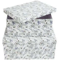 Boîte Noël design Jardin d'Hiver x2-Gifi Discount