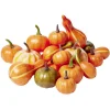 Citrouille pomme pin gland décoratif Halloween x42-Gifi Outlet