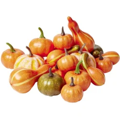 Citrouille pomme pin gland décoratif Halloween x42-Gifi Outlet