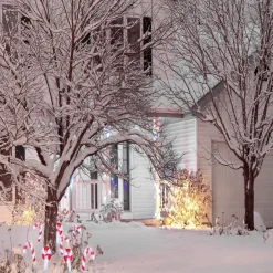 Décoration Noël sucre d'orge à planter LED H27cm-Gifi New