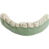 Dentier zombie vert et blanc-Gifi Sale
