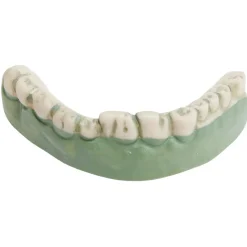 Dentier zombie vert et blanc-Gifi Sale