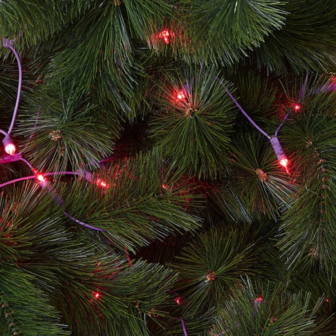 Guirlande électrique violette fixe 4,9 m-Gifi Discount