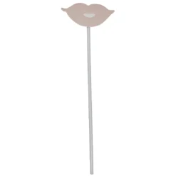 Kit photo booth rose, vert et doré 10 pièces-Gifi