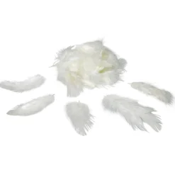Mini plume ivoire x35-Gifi Best