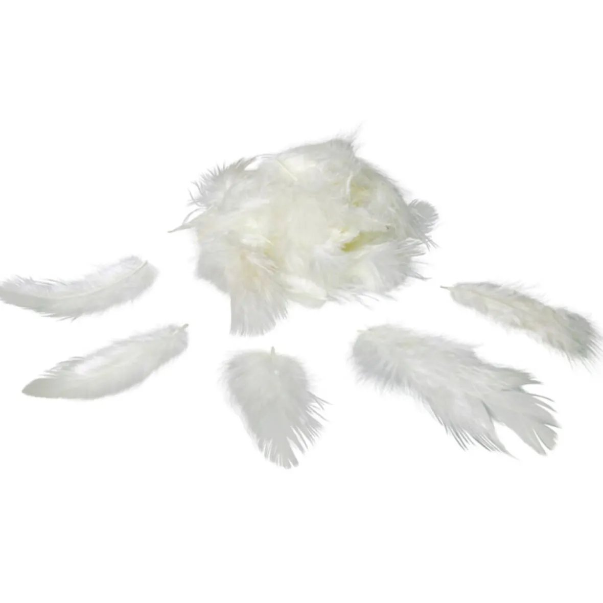 Mini plume ivoire x35-Gifi Best