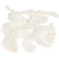 Mini plume ivoire x35-Gifi Online