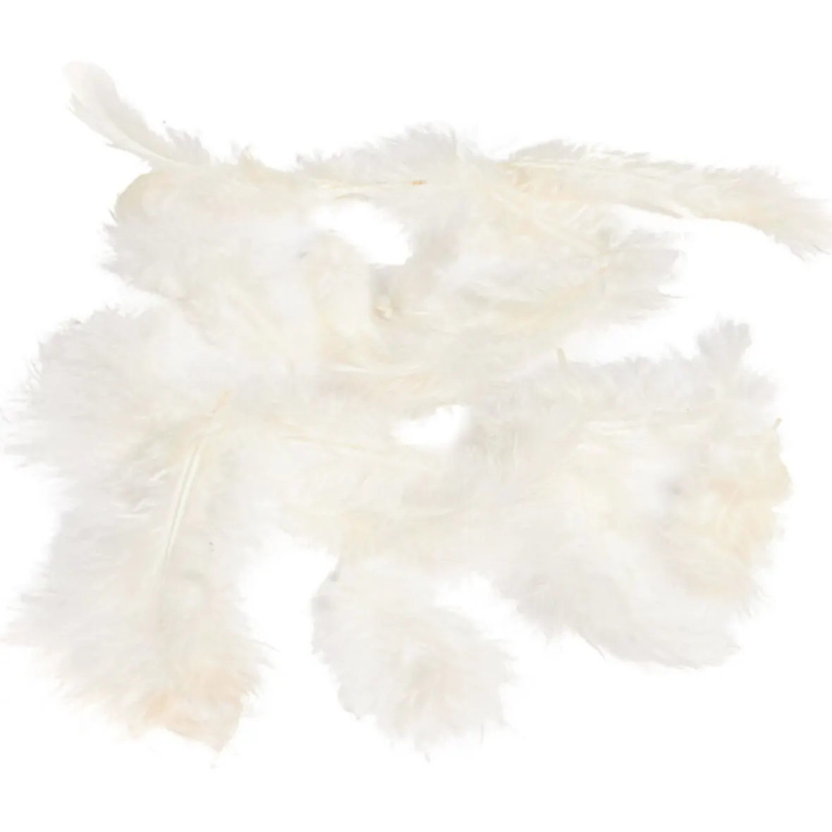 Mini plume ivoire x35-Gifi Online