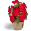 Poinsettia lumineux H23cm-Gifi