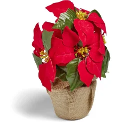 Poinsettia lumineux H23cm-Gifi
