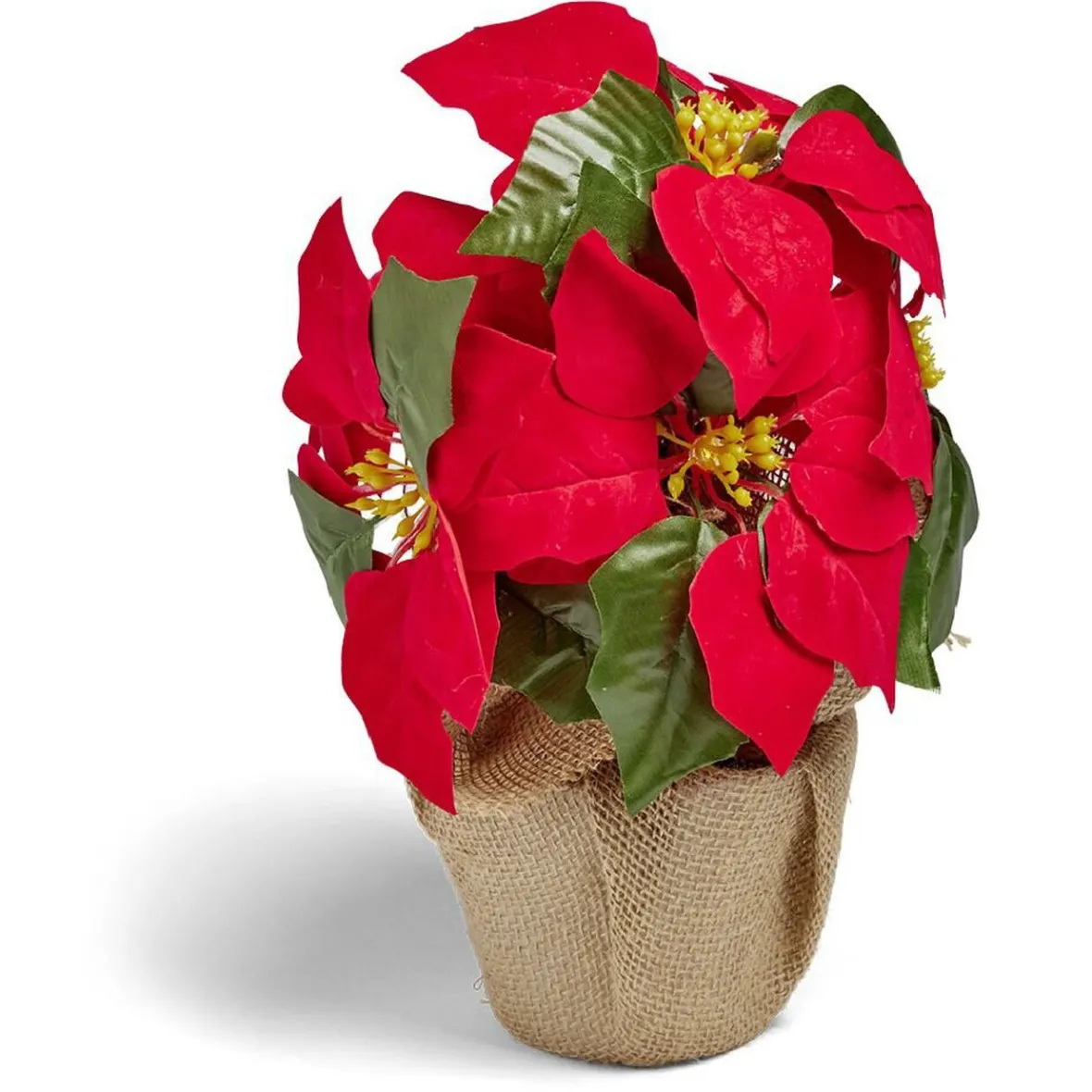 Poinsettia lumineux H23cm-Gifi