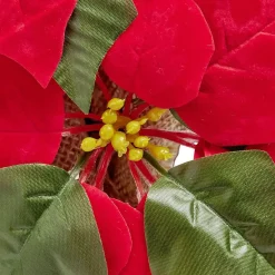 Poinsettia lumineux H23cm-Gifi