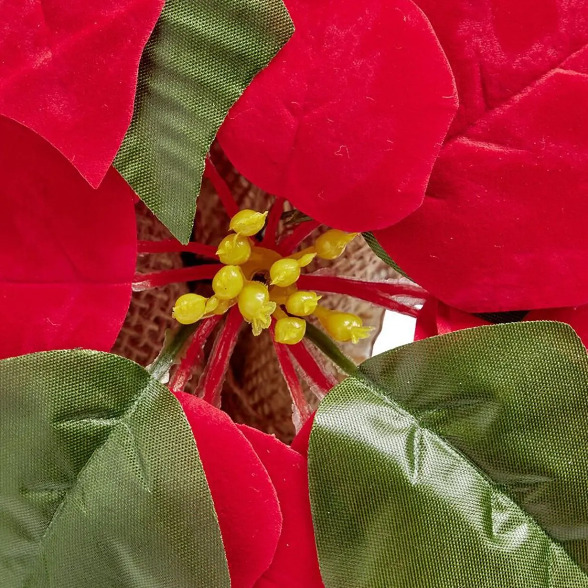 Poinsettia lumineux H23cm-Gifi
