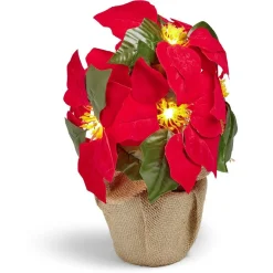 Poinsettia lumineux H23cm-Gifi