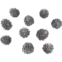 Pomme de pin à poser effet neige argentée x11-Gifi Outlet