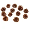 Pomme de pin naturel décoration-Gifi Hot