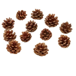 Pomme de pin naturel décoration-Gifi Hot