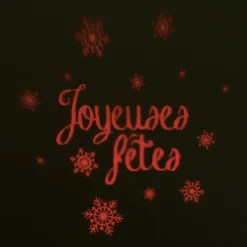 Projecteur extérieur led fixe 3 motifs Noël et fêtes-Gifi