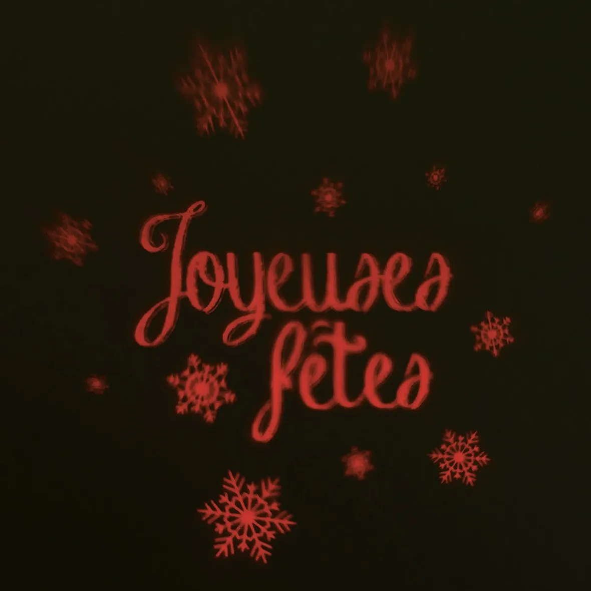 Projecteur extérieur led fixe 3 motifs Noël et fêtes-Gifi