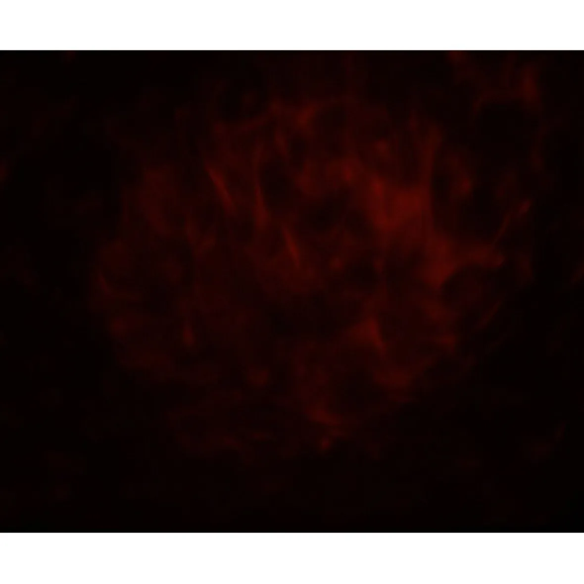 Projecteur LED effet vague Luminight couleurs changeantes-Gifi Best