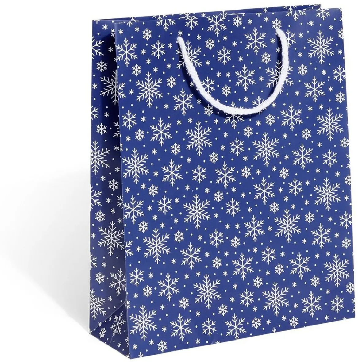 Sac cadeau Noël argenté ou bleu - Taille M-Gifi