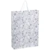 Sac cadeau Noël Jardin d'Hiver L46X33 cm-Gifi Clearance
