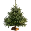 Sapin de Noël naturel Nordmann 175 cm-Gifi Sale