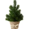 Sapin de table vert-Gifi Hot