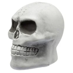 Squelette à planter-Gifi Outlet