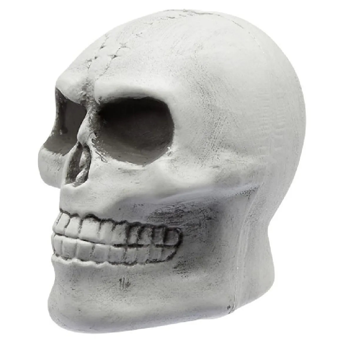 Squelette à planter-Gifi Outlet