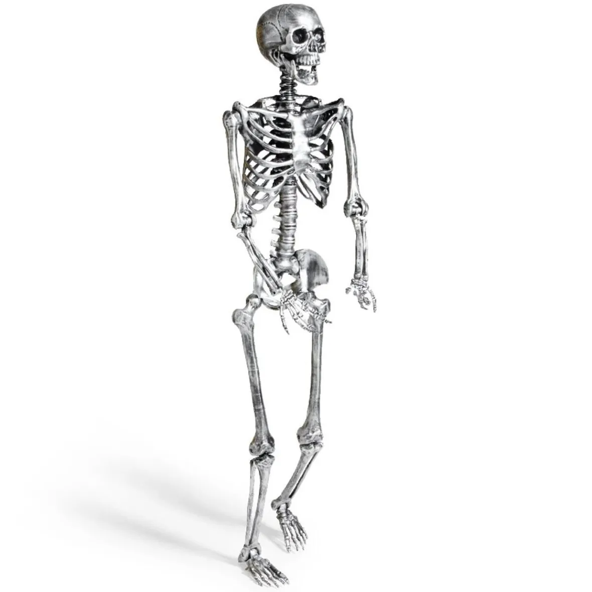 Squelette articulé Halloween H150cm plastique argenté-Gifi Clearance