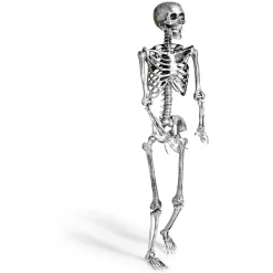 Squelette articulé Halloween H150cm plastique argenté-Gifi Clearance