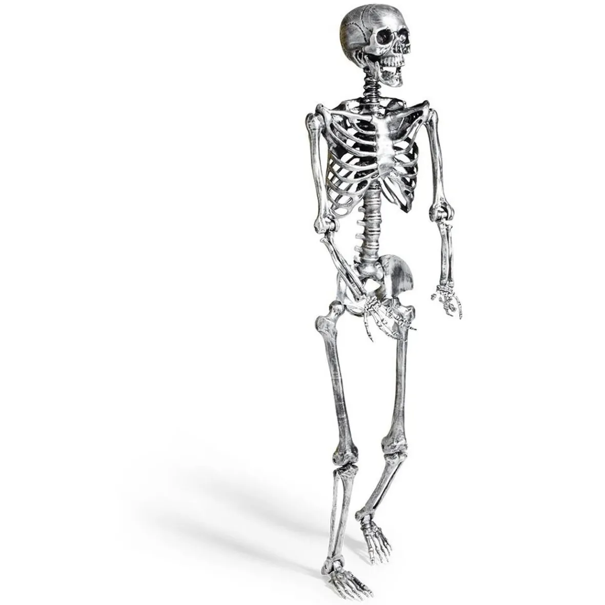 Squelette articulé Halloween H150cm plastique argenté-Gifi Clearance