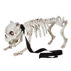 Squelette de chien déco Halloween à poser-Gifi