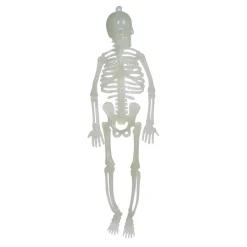 Squelette phosphorescent-Gifi Outlet