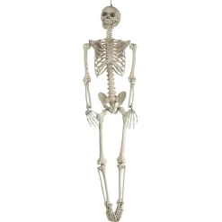 Squelette taille humaine-Gifi Outlet