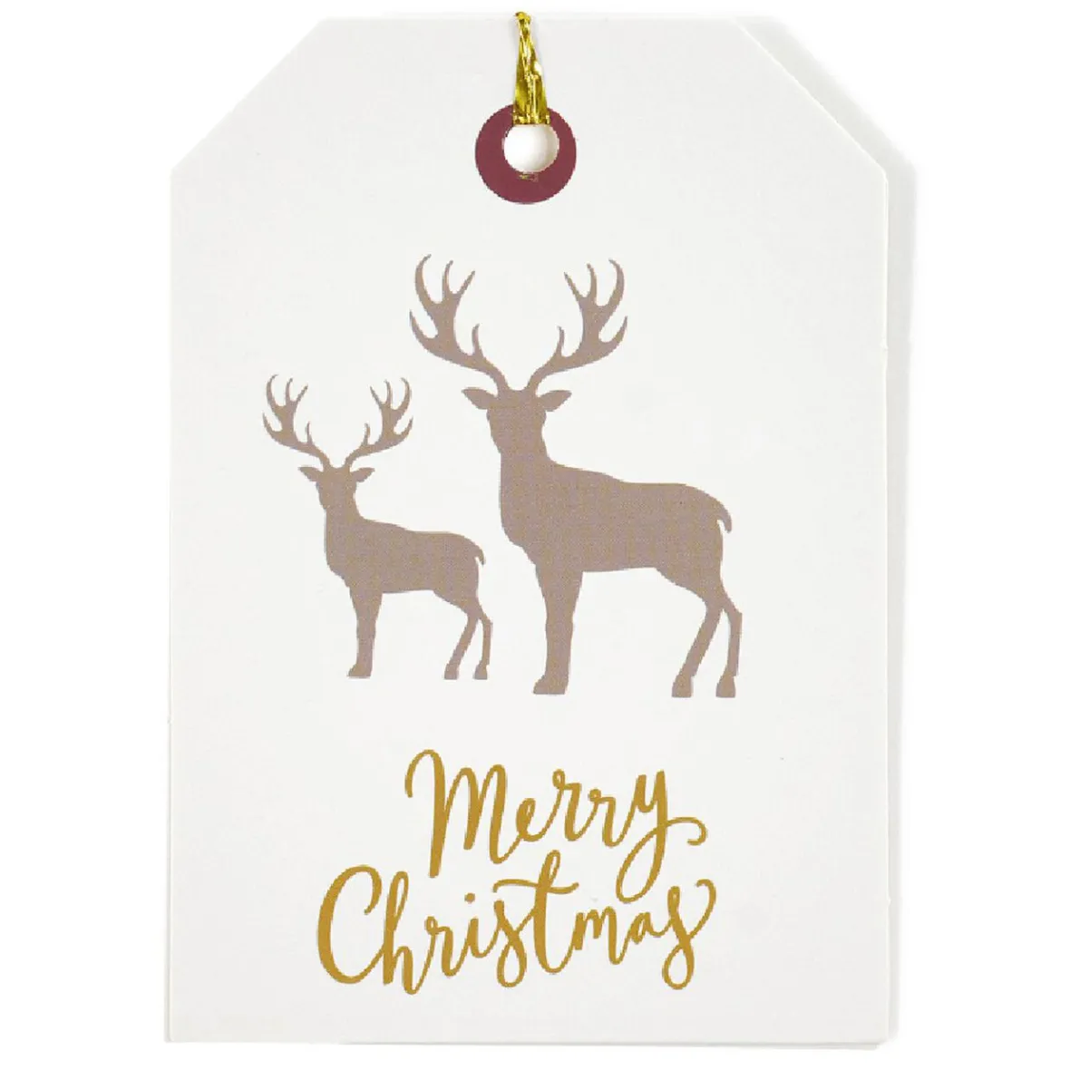 Étiquette pour paquet cadeau Noël Hiver Nature x6-Gifi Discount